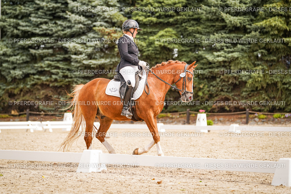 DSC02096 | Pferdegrafie