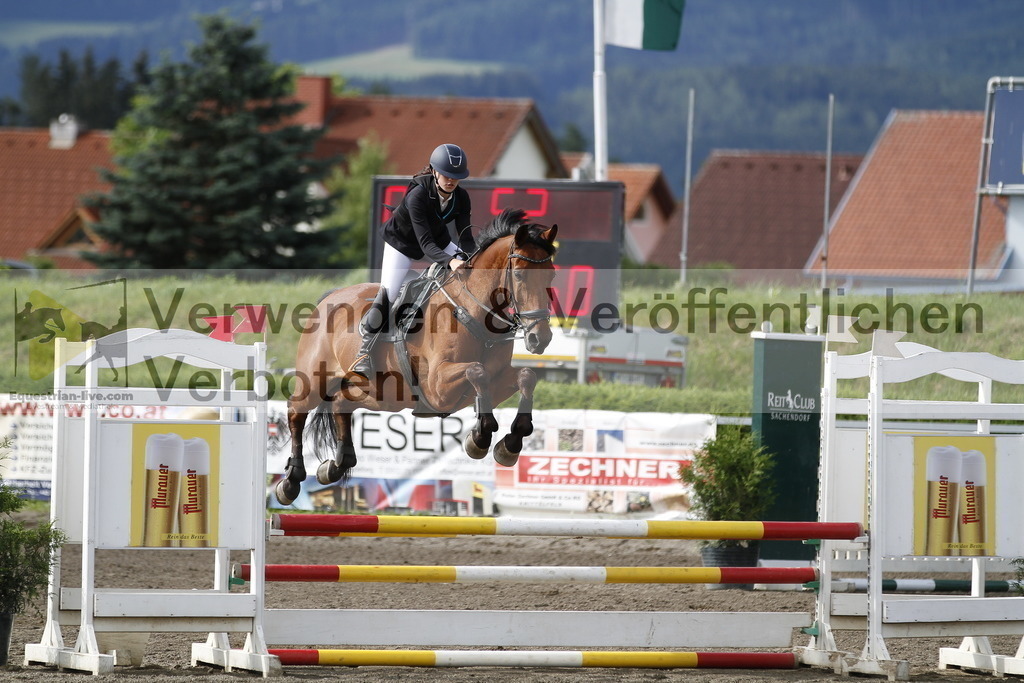 _MG_2244 | equestrian-live-com