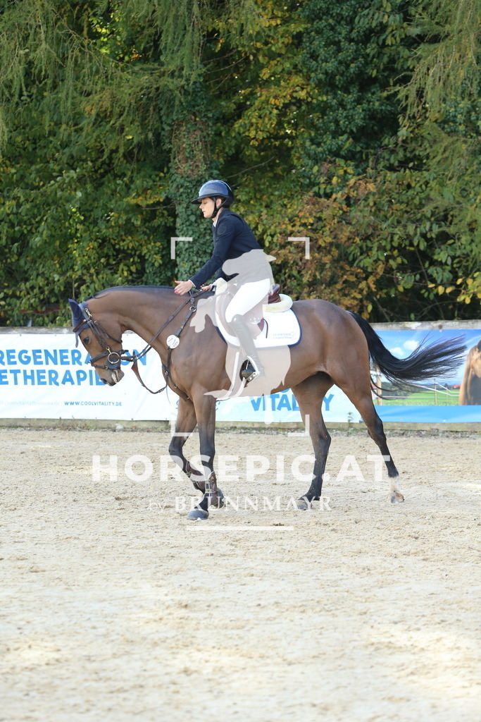 DL2Q4711 | Willkommen bei Brunnmayr - Design & Fotografie – Ihrem Spezialisten für Reitturniere und Pferdeveranstaltungen in Oberösterreich, Salzburg und Bayern! Seit über 17 Jahren sind wir leidenschaftlich dabei.