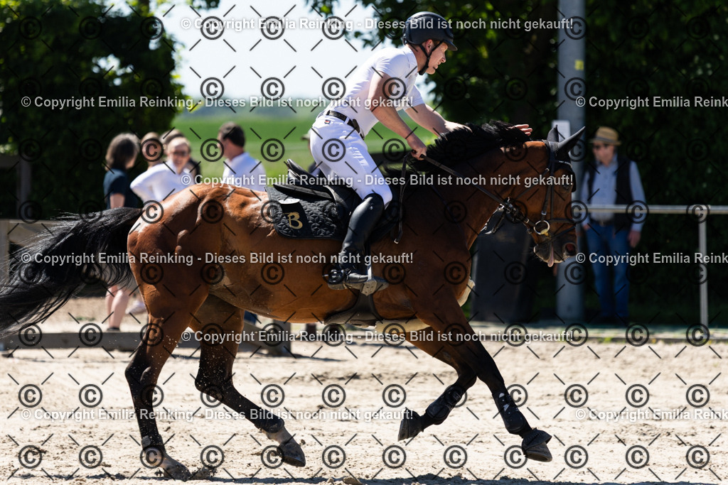 CL5A5162 | Emilia Reinking Fotografie - Realisiert mit Pictrs.com