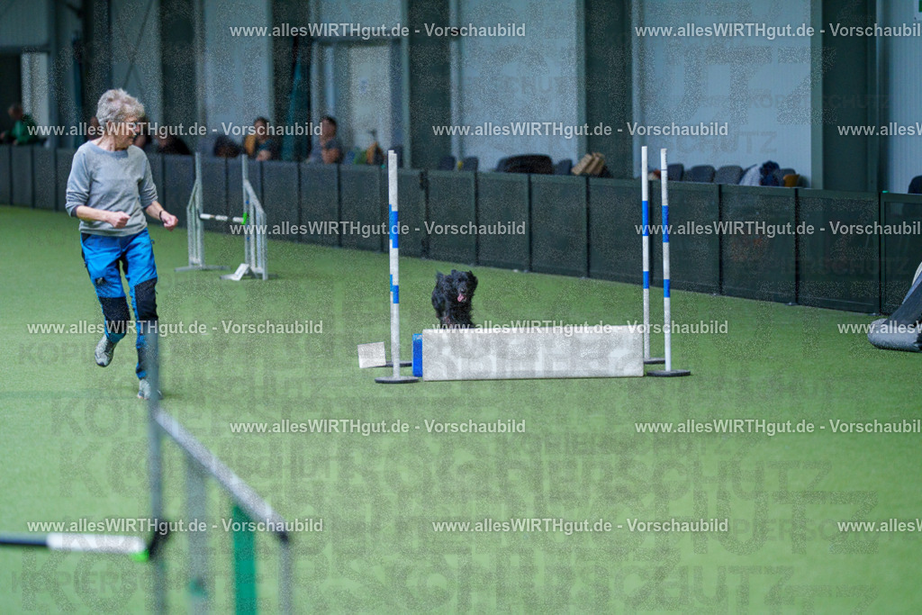 @allesWIRTHgut_Tierfotografie - www.allesWIRTHgut.de - 2604261229-7R501045 | Professionelle Tierfotografie in Mönchengladbach von Daniel Wirth (allesWIRTHgut). Liebevolle & natürliche Bilder von Hunden & Katzen für unvergessliche Erinnerungen.