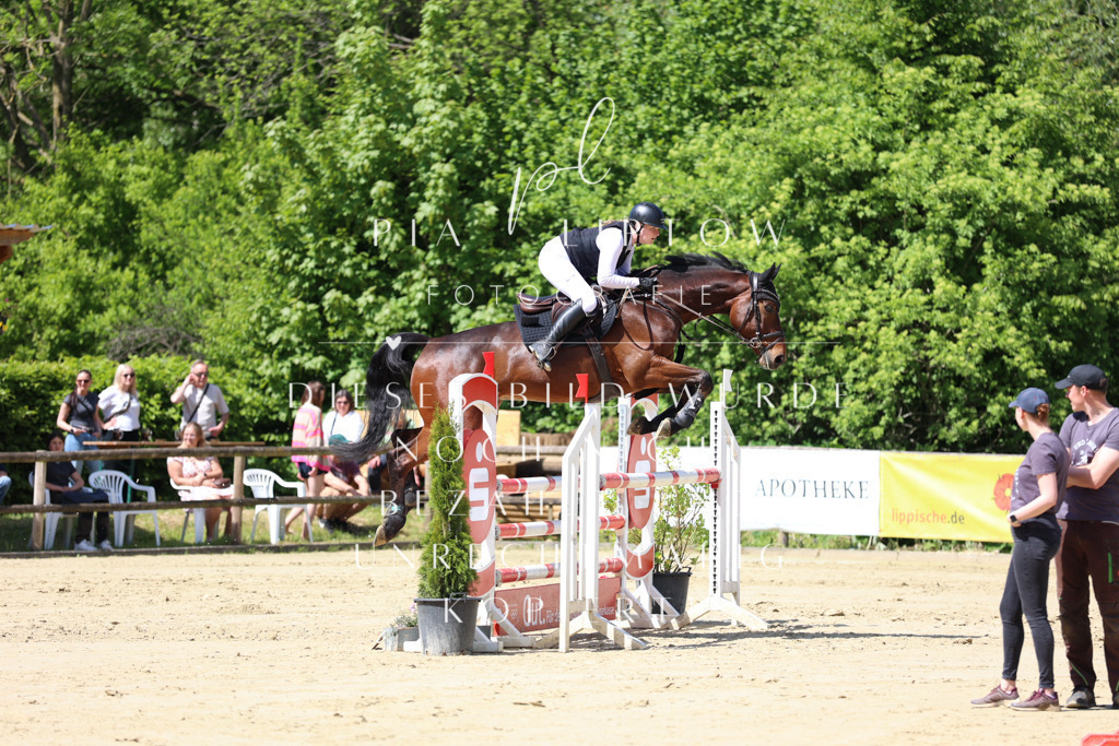 IMGS8800 | pl-fotografie