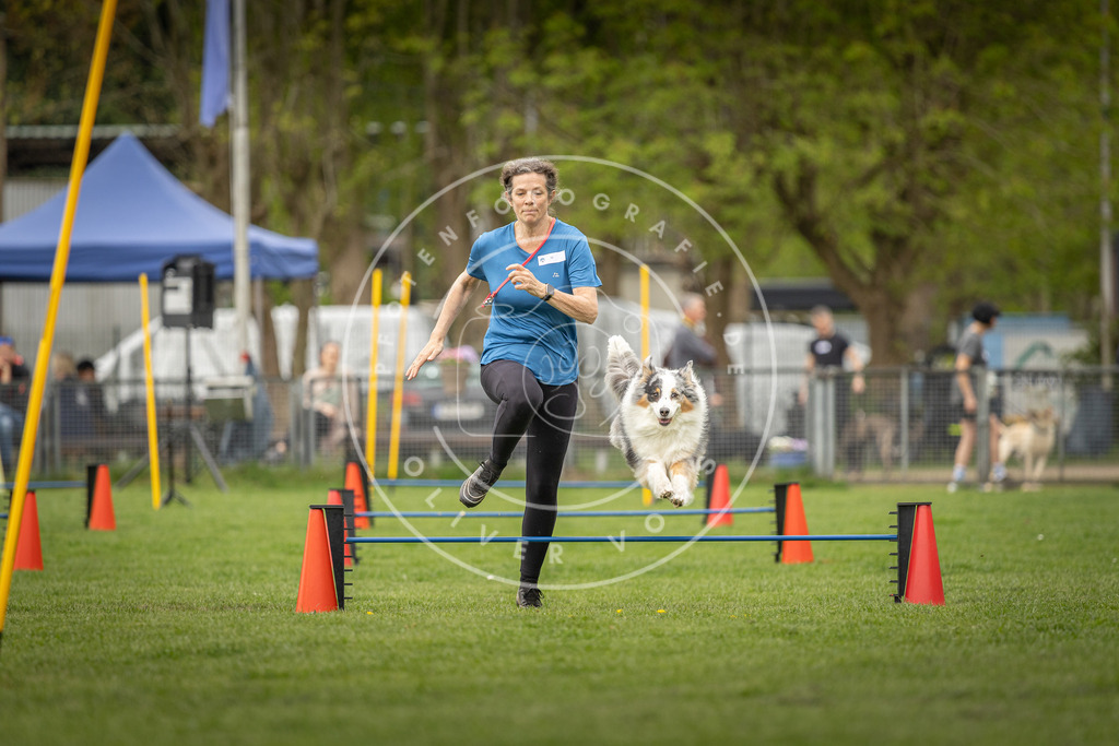 Pfotenfotografie_DV3A8578 | Hundefotografie, Tierfotograf, Pfotenfotografie, Fotoshooting Hund, Hunde Portrait, Hundesport, Hundeportraits, Heideshooting, Hunde, Sportfotograf, Hundefotograf, Turnierhundsport, THS,  - Realisiert mit Pictrs.com