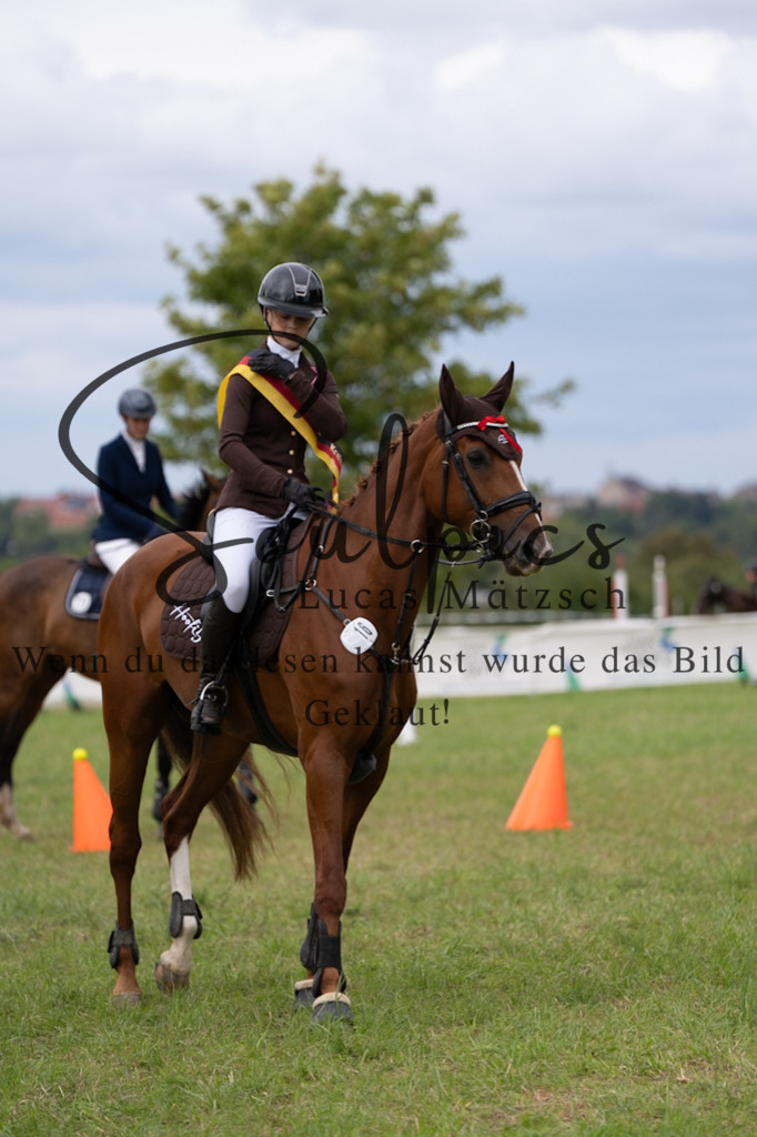 A7V06070 | Pferdefotograf