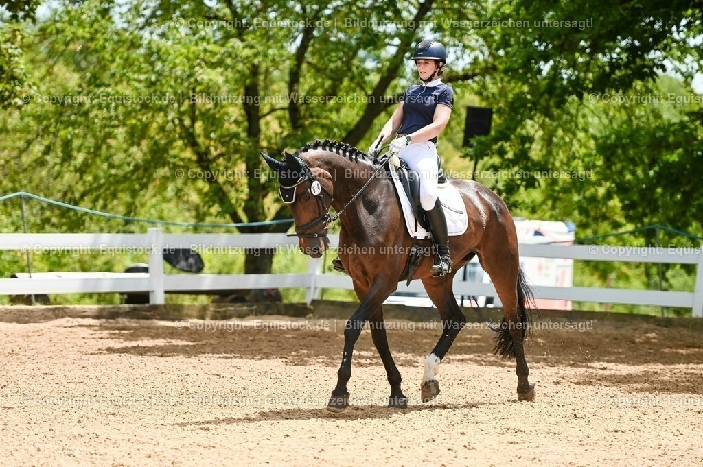 20230715_05_Dressurprüfung Kl.A++_0188 | equistock