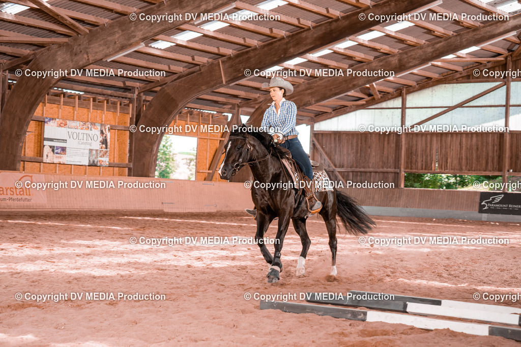 NE300540 | dv-media-shop - Realisiert mit Pictrs.com