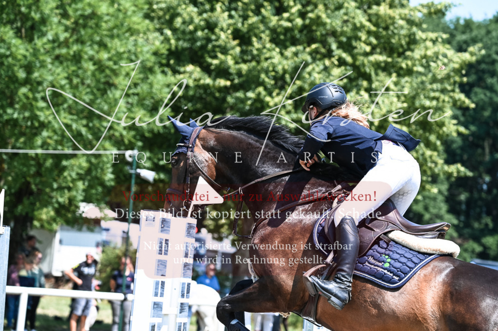 DSC_0106 | Pferde- und Turnierfotografie in Westsachsen. Pferdeportraits, Auftragszeichnungen und intuitive Kunst.