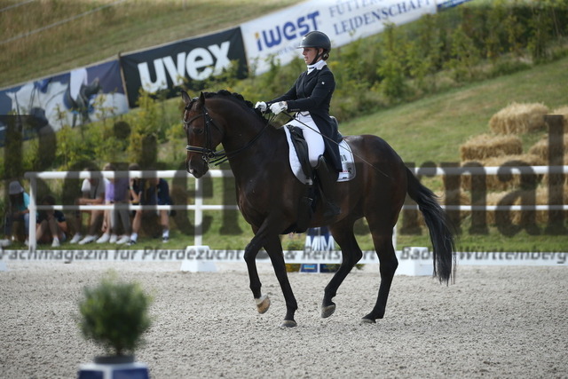 Birkhof_2022_GrandPrixSpecial_Nicole Isser_DiCaprio 4 (16) | Alle Fotos der Reiterjournal Fotografin Doris Matthaes im Reiterjournal Online-Fotoshop. - Realisiert mit Pictrs.com