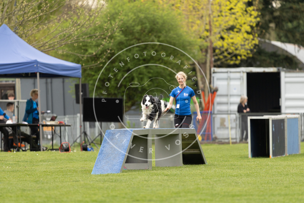 Pfotenfotografie_DV3A8789 | Hundefotografie, Tierfotograf, Pfotenfotografie, Fotoshooting Hund, Hunde Portrait, Hundesport, Hundeportraits, Heideshooting, Hunde, Sportfotograf, Hundefotograf, Turnierhundsport, THS,  - Realisiert mit Pictrs.com