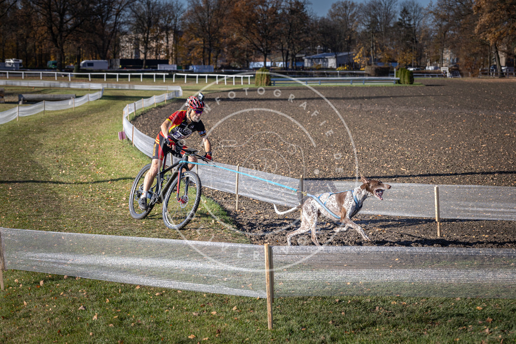 CaniXpix_DV3A5421 | Hundefotografie, Tierfotograf, Pfotenfotografie, Fotoshooting Hund, Hunde Portrait, Hundesport, Hundeportraits, Heideshooting, Hunde, Sportfotograf, Hundefotograf, Turnierhundsport, THS,  - Realisiert mit Pictrs.com