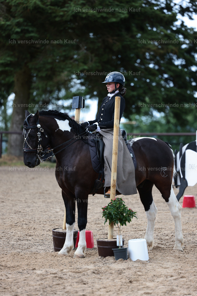 KlasseL_Stoibphotography_CAM23621.JPG | working equitationturnier fotograf videograf stoibphotography marixx film working equitation deutschland reitsport turnierfotografie eventfotografie equestrian events