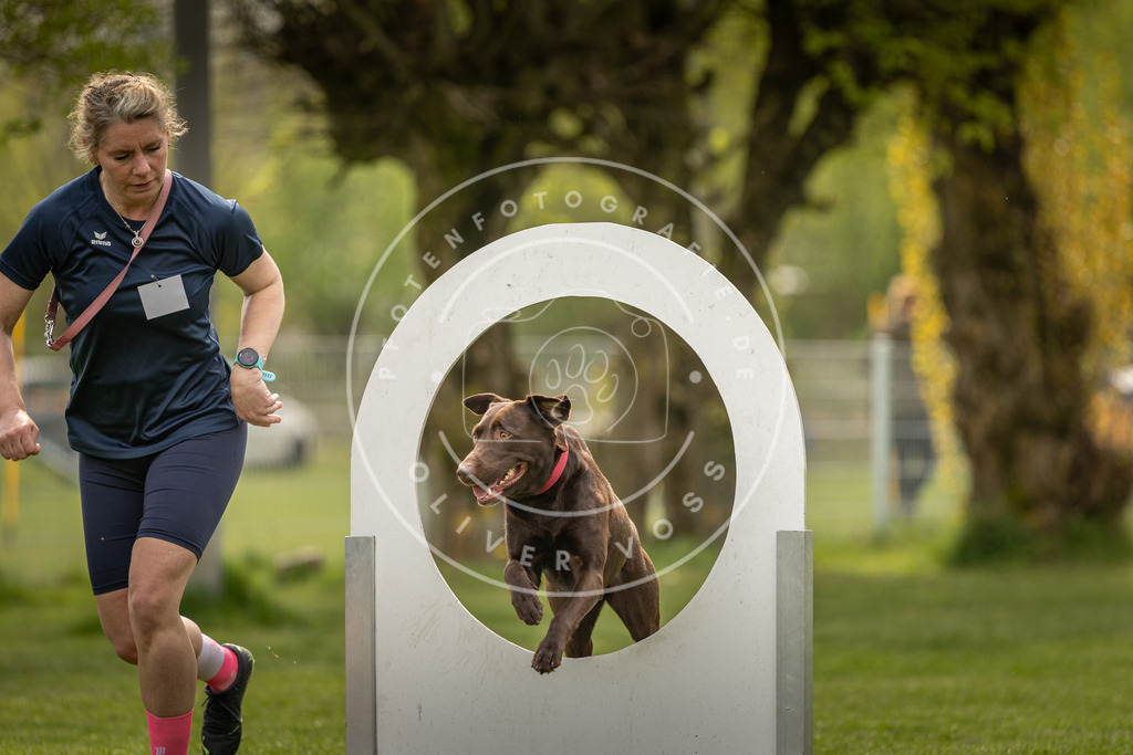 Pfotenfotografie_DV3A6713 | Hundefotografie, Tierfotograf, Pfotenfotografie, Fotoshooting Hund, Hunde Portrait, Hundesport, Hundeportraits, Heideshooting, Hunde, Sportfotograf, Hundefotograf, Turnierhundsport, THS,  - Realisiert mit Pictrs.com