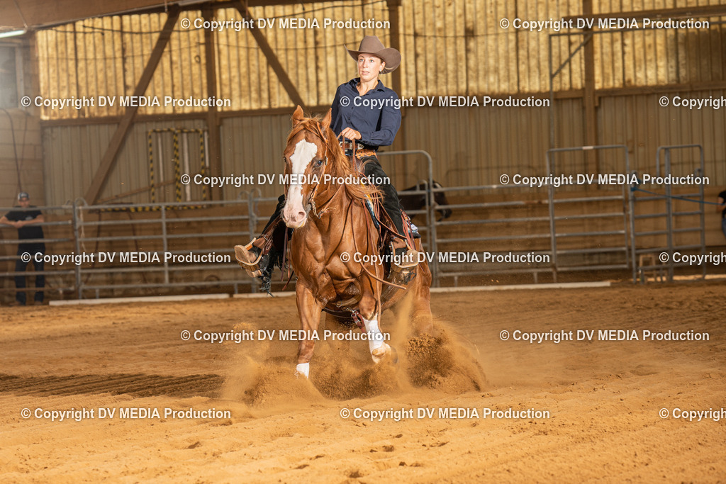 NID02169 | dv-media-shop - Realisiert mit Pictrs.com