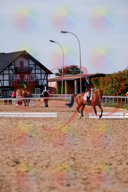 2026_10_03_Siefer-Hof_131909_Z81_68018942 | Professionelle Reitsport-, Turnier- und Eventfotografie von Robert Broda. Galerien mit ausgewählten und bearbeiteten Bildern direkt online ansehen und bestellen.