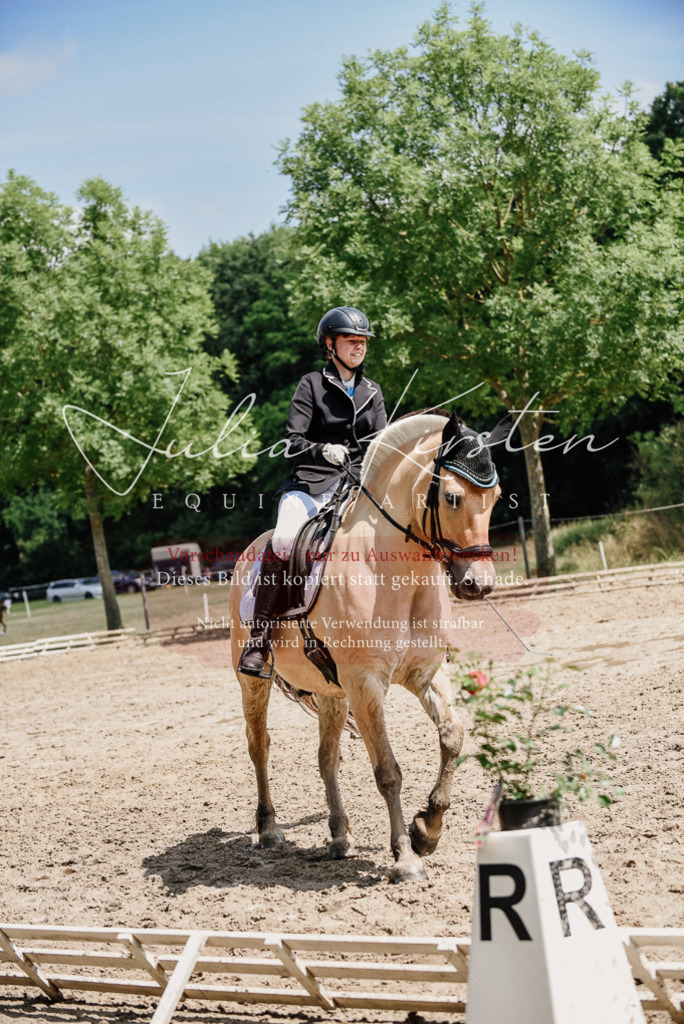 DSC_1678 | Pferde- und Turnierfotografie in Westsachsen. Pferdeportraits, Auftragszeichnungen und intuitive Kunst.