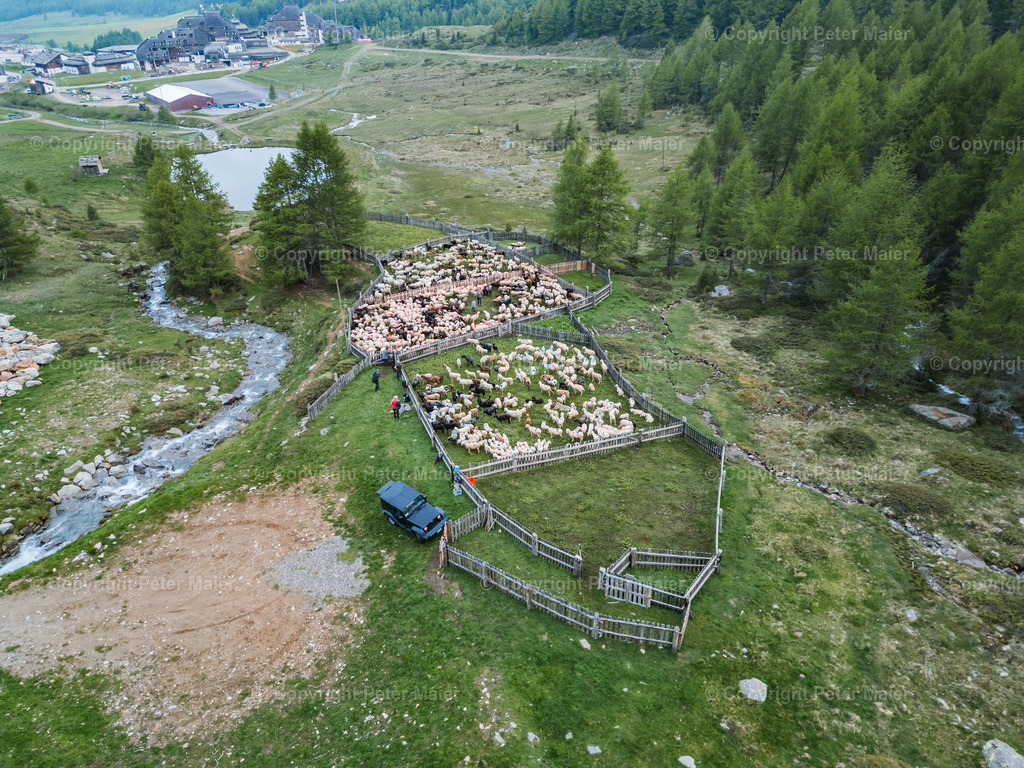 Tonzhaus_Wanderhotels_Juni_2024-1281 | piet_flosse