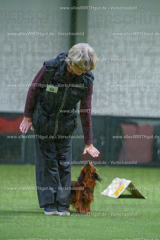 7R503661 | Professionelle Tierfotografie in Mönchengladbach von Daniel Wirth (allesWIRTHgut). Liebevolle & natürliche Bilder von Hunden & Katzen für unvergessliche Erinnerungen.