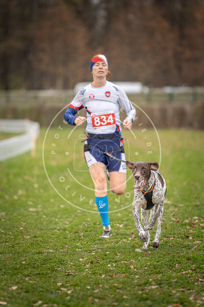 CaniXpix_DV3A6410 | Hundefotografie, Tierfotograf, Pfotenfotografie, Fotoshooting Hund, Hunde Portrait, Hundesport, Hundeportraits, Heideshooting, Hunde, Sportfotograf, Hundefotograf, Turnierhundsport, THS,  - Realisiert mit Pictrs.com