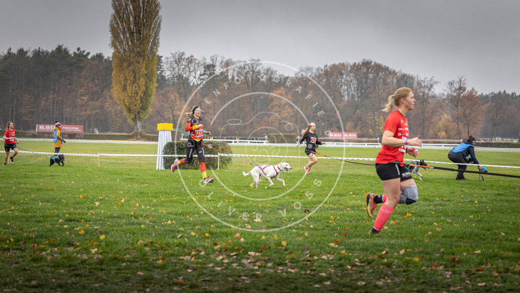 CaniXpix_DV3A8874 | Hundefotografie, Tierfotograf, Pfotenfotografie, Fotoshooting Hund, Hunde Portrait, Hundesport, Hundeportraits, Heideshooting, Hunde, Sportfotograf, Hundefotograf, Turnierhundsport, THS,  - Realisiert mit Pictrs.com