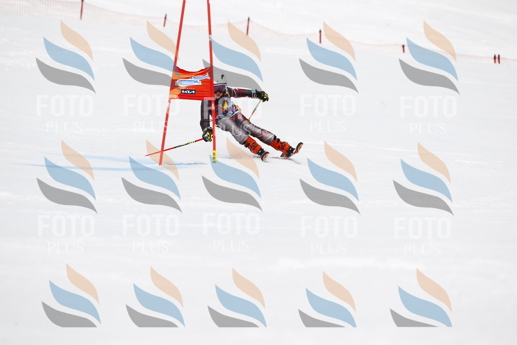 _U3G7235 | holidayphoto