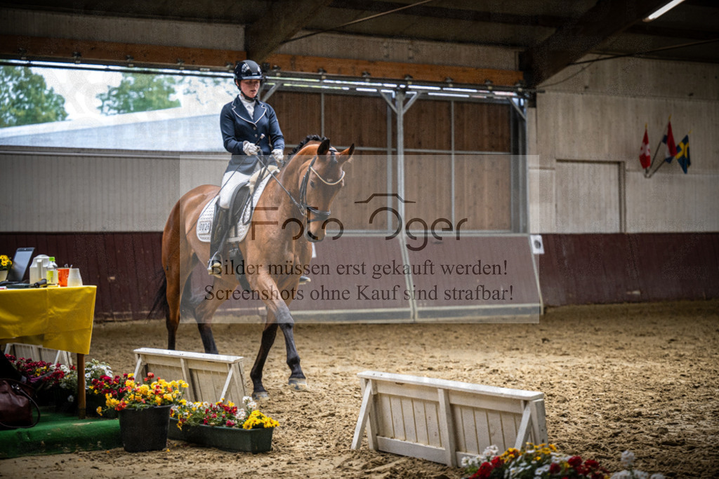 DOS_3727 | Reitturnier Lüdinghausen - Realisiert mit Pictrs.com
