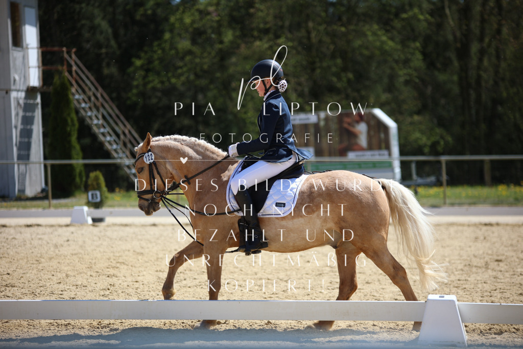 IMGT1097 | pl-fotografie