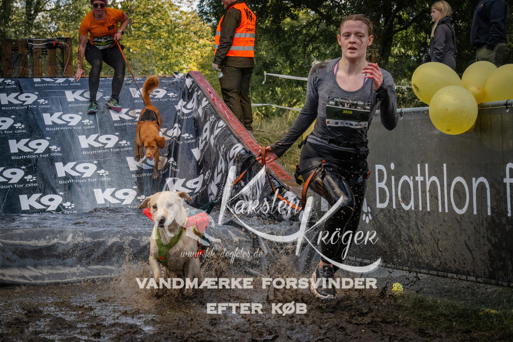 1555_ZZ91249 | kk-dogfotos