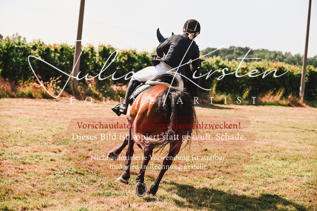 DSC_7364 | Pferde- und Turnierfotografie in Westsachsen. Pferdeportraits, Auftragszeichnungen und intuitive Kunst.