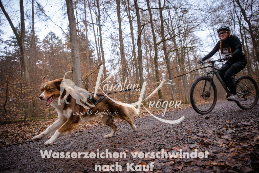 0819_ZZ94488 | kk-dogfotos