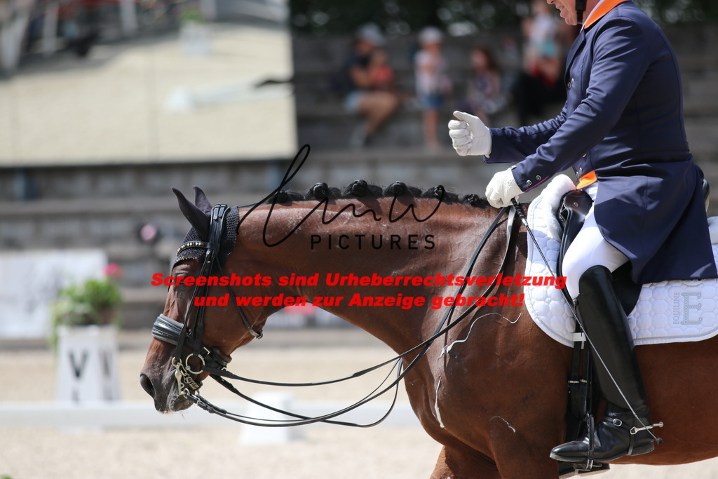 IMG_1916 | lmwpictures - Realisiert mit Pictrs.com