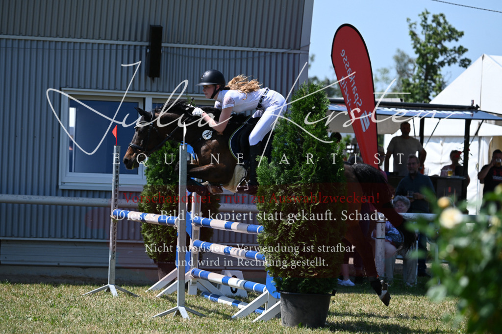 DSC_0804 | Pferde- und Turnierfotografie in Westsachsen. Pferdeportraits, Auftragszeichnungen und intuitive Kunst.