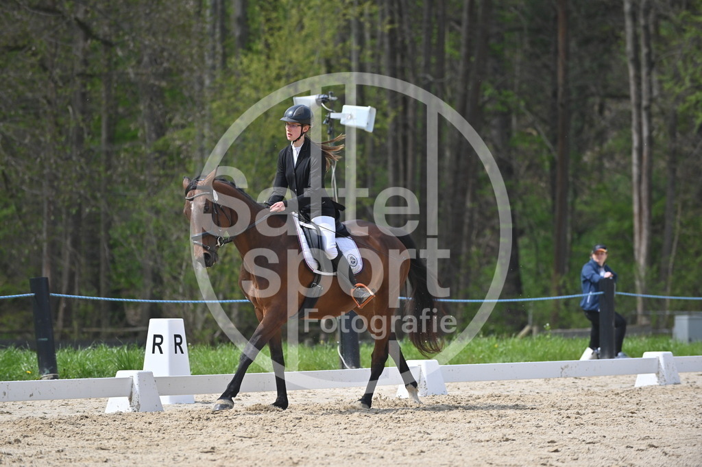 DSC_3447 | sattelsport - Realisiert mit Pictrs.com