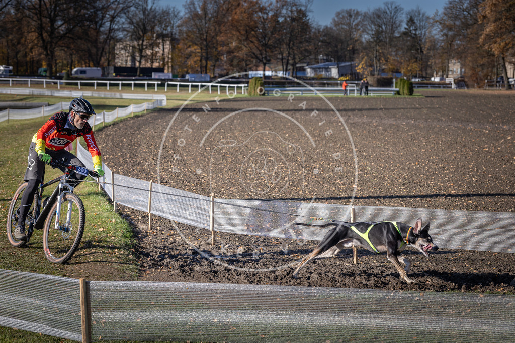 CaniXpix_DV3A6068 | Hundefotografie, Tierfotograf, Pfotenfotografie, Fotoshooting Hund, Hunde Portrait, Hundesport, Hundeportraits, Heideshooting, Hunde, Sportfotograf, Hundefotograf, Turnierhundsport, THS,  - Realisiert mit Pictrs.com