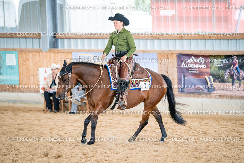 DSC02843 | Pferdegrafie