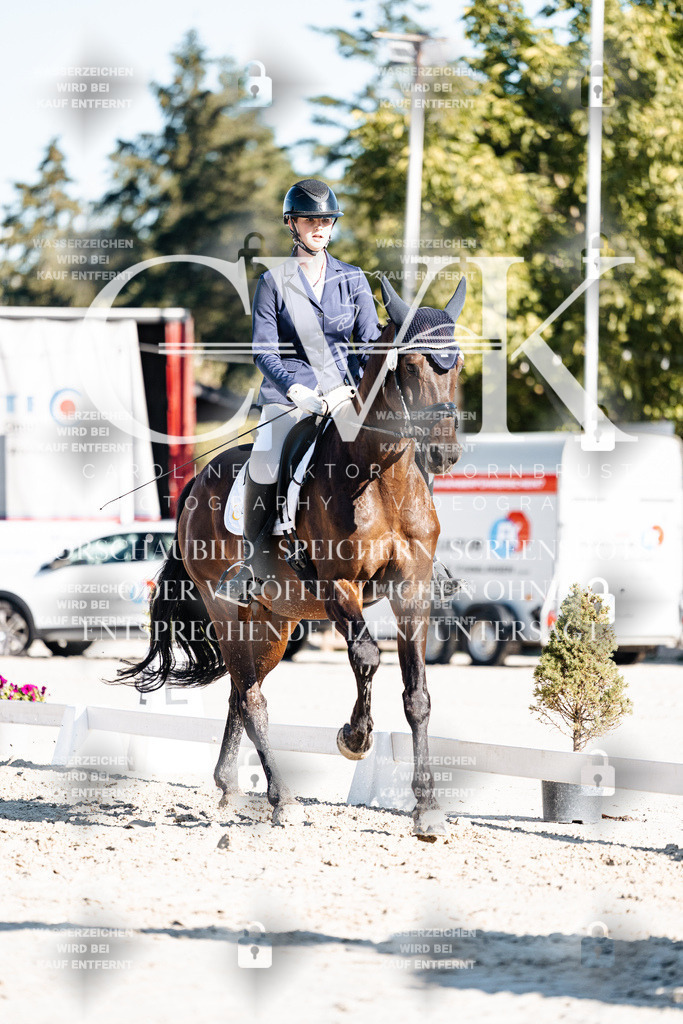 CK907380 | Turnierfotografie Pferdefotografie Trier Rheinland-Pfalz Pferdesport Reitsport Tierfotografie Sportfotografie Pferdevideo Pferdevideografie Equestrianvideography equestrianphotography  - Realisiert mit Pictrs.com