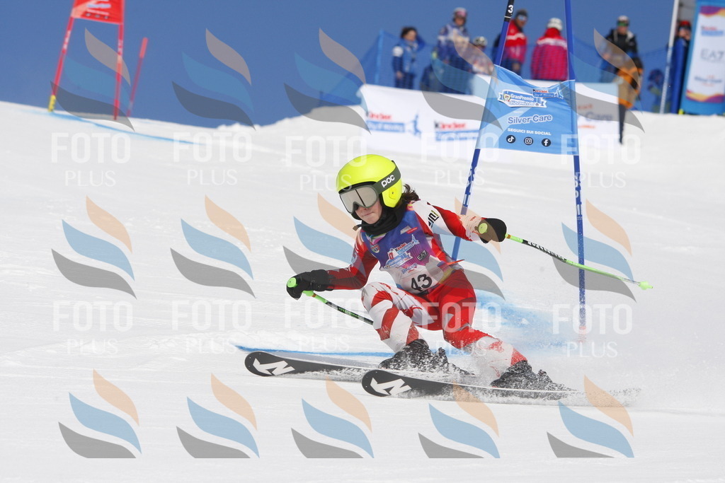 _W1G0623 | holidayphoto