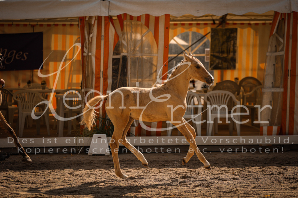 10.DoRP00197 | Leoni Ertmer Photography - Realisiert mit Pictrs.com