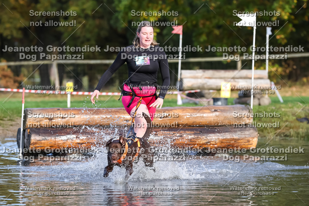 Dog Paparazzi - Strongdog 10-25-7052 | Dog Paparazzi Jeanette Grottendiek Fotografie & Videografie - Realisiert mit Pictrs.com