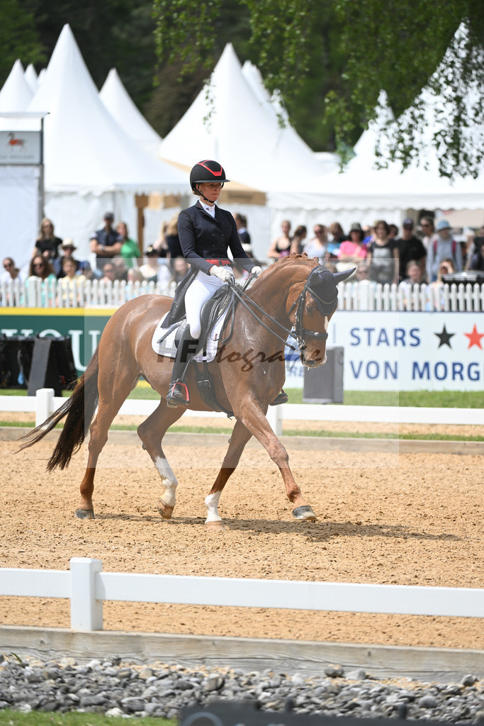 Baer_Superstar_11233779 | hf-fotografie - Realisiert mit Pictrs.com