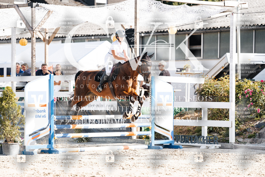 CK909466 | Turnierfotografie Pferdefotografie Trier Rheinland-Pfalz Pferdesport Reitsport Tierfotografie Sportfotografie Pferdevideo Pferdevideografie Equestrianvideography equestrianphotography  - Realisiert mit Pictrs.com