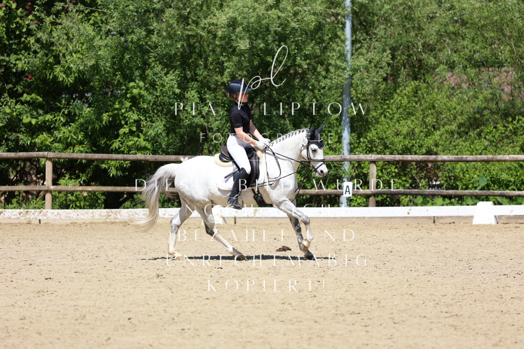 IMGS3307 | pl-fotografie