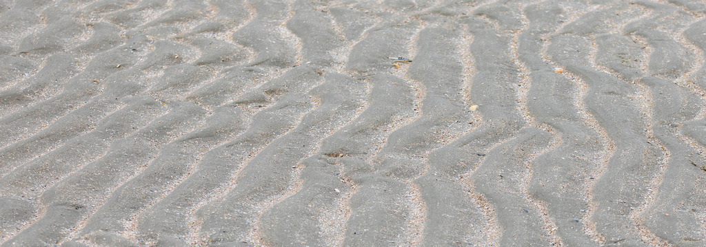 3A0A9866x | codoma - Realisiert mit Pictrs.com