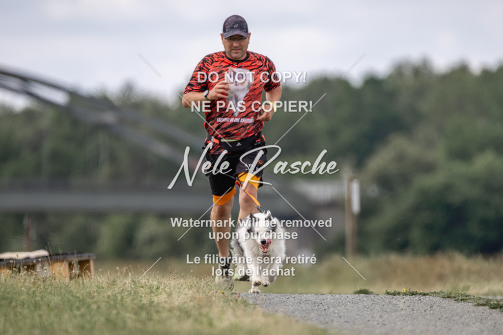 nelerasche_BuHu2026_SaCC1100-1200_46 | nelerasche