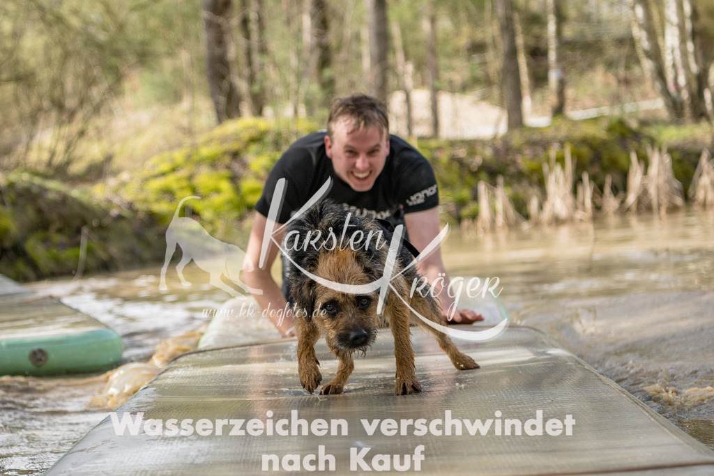 1003_ZZ92361 | kk-dogfotos