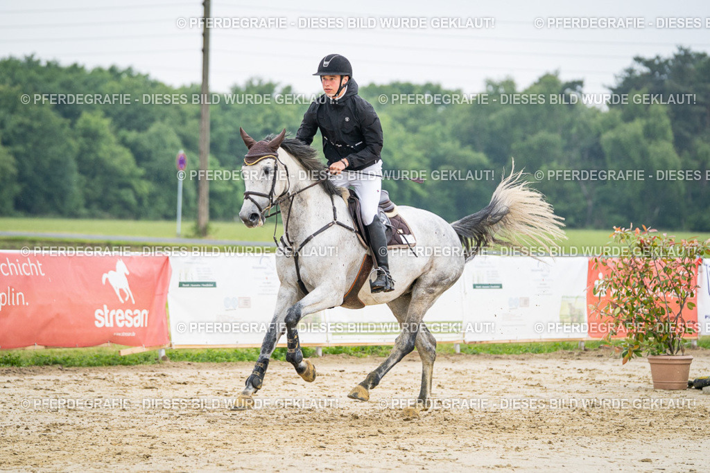 DSC00502 | Pferdegrafie