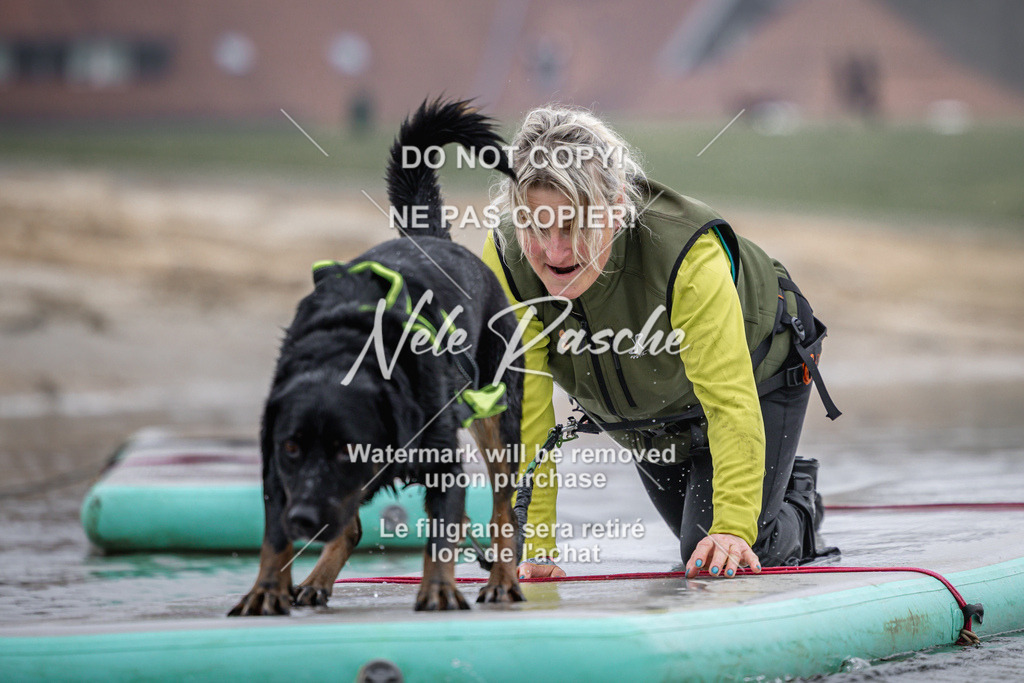 nelerasche_Hulsbeek_Sa0845-1030_110 | nelerasche