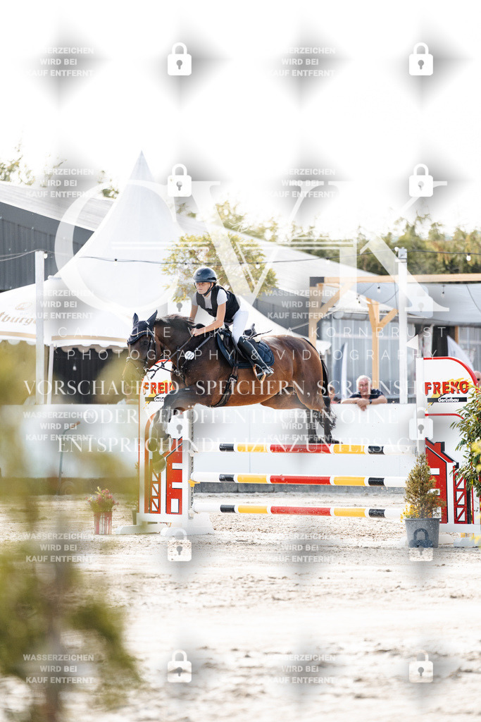 CK906192 | Turnierfotografie Pferdefotografie Trier Rheinland-Pfalz Pferdesport Reitsport Tierfotografie Sportfotografie Pferdevideo Pferdevideografie Equestrianvideography equestrianphotography  - Realisiert mit Pictrs.com