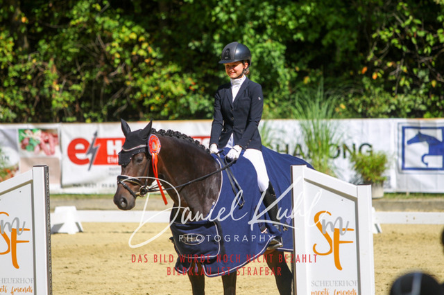 DKP42289 | Turniersportfotografie; Pferdefotografie; Dressurfotografie