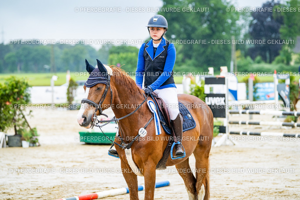 DSC03311 | Pferdegrafie