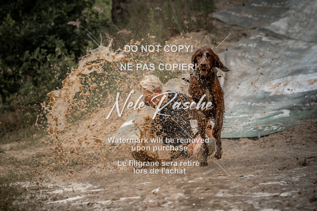 nelerasche_sa1200-1230_314 | nelerasche